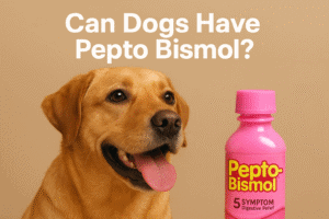 Can Dogs Have Pepto Bismol?