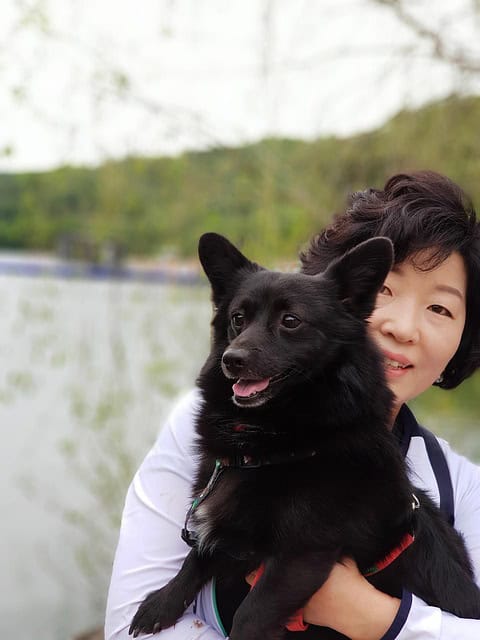 if you 4997201 640.jpg